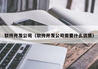 软件开发公司（软件开发公司需要什么资质）