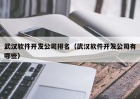 武汉软件开发公司排名（武汉软件开发公司有哪些）