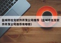 盐城市社交软件开发公司推荐（盐城市社交软件开发公司推荐有哪些）