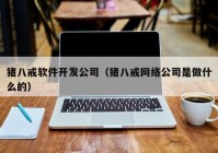 猪八戒软件开发公司（猪八戒网络公司是做什么的）