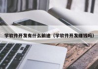 学软件开发有什么前途（学软件开发赚钱吗）