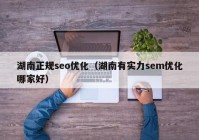 湖南正规seo优化（湖南有实力sem优化哪家好）