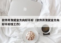 软件开发就业方向好不好（软件开发就业方向好不好找工作）