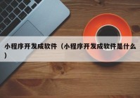 小程序开发成软件（小程序开发成软件是什么）