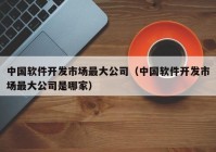 中国软件开发市场最大公司（中国软件开发市场最大公司是哪家）