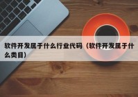 软件开发属于什么行业代码（软件开发属于什么类目）