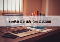 seo优化实训日志（seo实训总结）