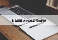 包含湖里seo优化公司的词条